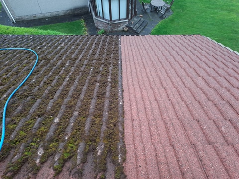 157282172 3667731203334392 9023814140296321245 n