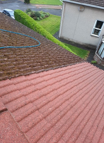 157410918 248418670280952 8387771704277638232 n