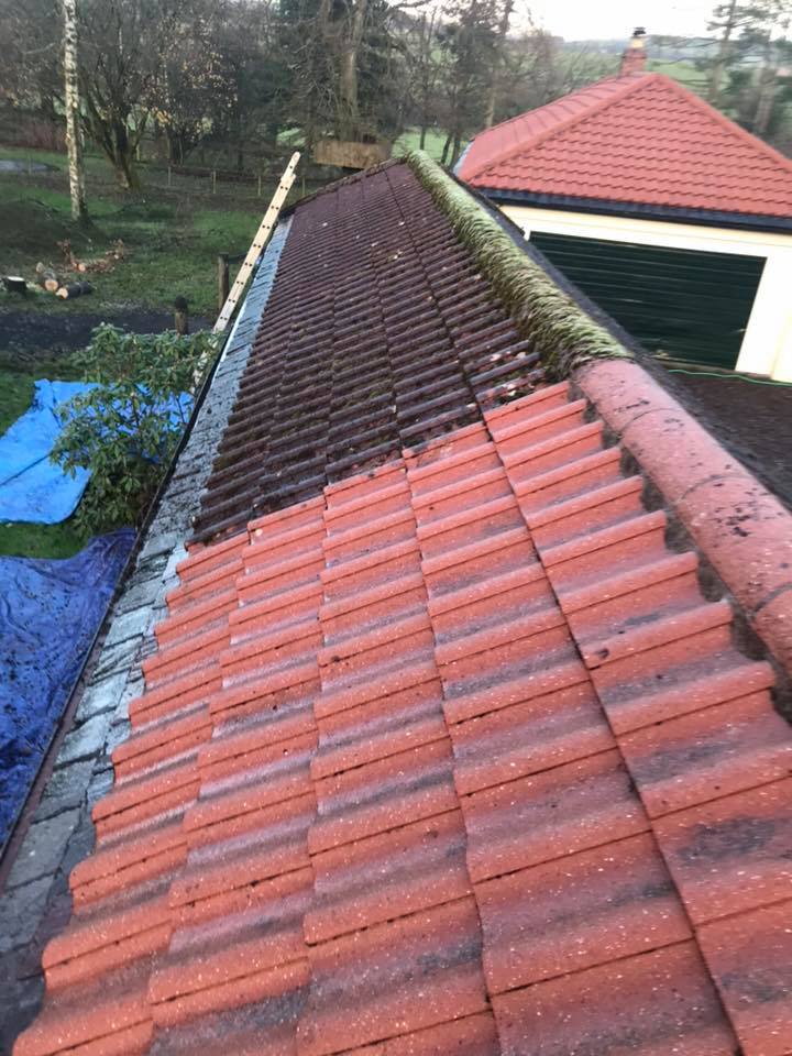 47487097 1287035244780930 4294898855696138240 n