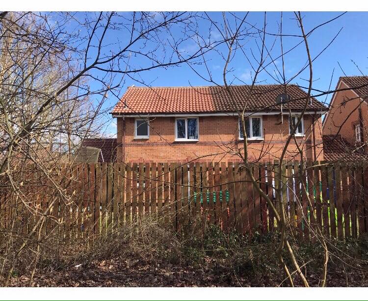 52646483 1349351228549331 6351338323826442240 n