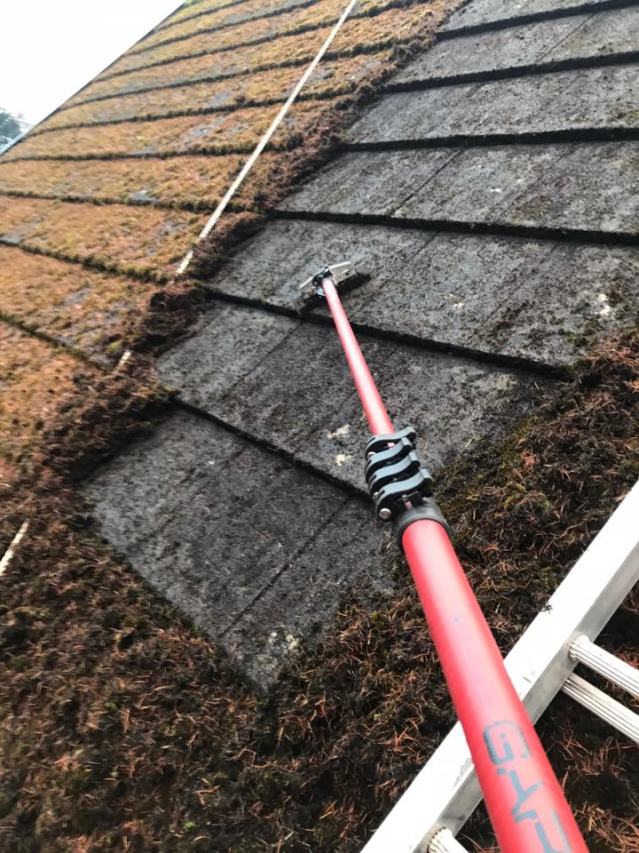 52681080 1349350771882710 6845263454106812416 n