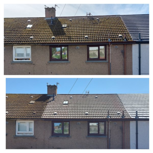 nnnnjpk1swwa83ynv4nk8q